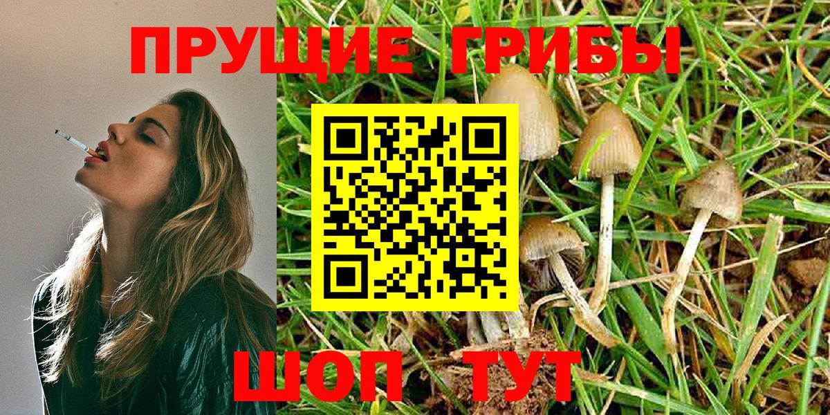 Звенигород  Псилоцибиновые грибы Magic Shrooms  Псилоцибиновые грибы ЛСД  Вход с VPN 