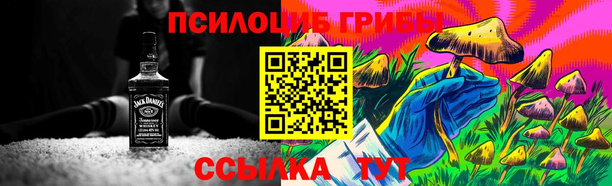 Псилоцибиновые грибы ЛСД Звенигород